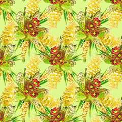 Primula spring flowers, seamless pattern