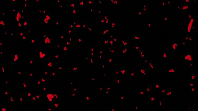 3D animation of red heart figures are falling down. Background is transparent. Video codec: PNG, color: RGBA.
