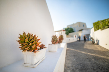 Santorini street detail, Greece. Famous view of traditional white architecture Santorini landscape with blue sky. Summer vacations background. Luxury travel tourism concept. Amazing summer destination