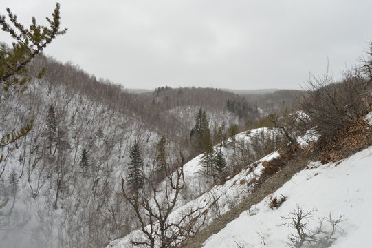 Parc national du Mont-Riding