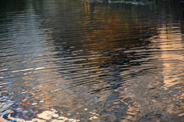 Rippled water  in golden evening light