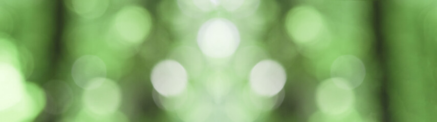 Grenn bokeh in the forest background panorama banner long
