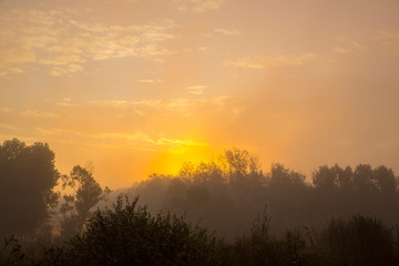 Fototapeta na wymiar dawn with fog