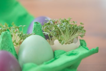 Decorative handmade easter egg present box with eggs and cress. Beautiful decoration easternest basket with painted eggshells for celebration. Lovely traditional gift design on wooden background