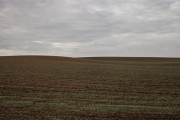Obraz premium Plowed field in Alentejo