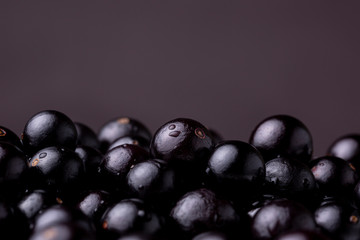 Close up macro shot of fresh shiny Jaboticaba berry fruit lit from above against a dark background