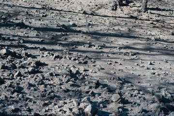 Volcanic rock up close on an island in the Canaries