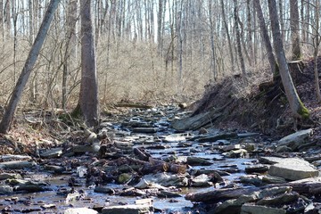 The view of the creek in the winter forest.