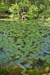 天授庵の池泉回遊式庭園