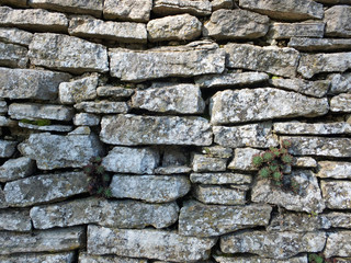 A dry stone wall in a garden
