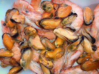 Tray with shrimp and fresh mussels for cooking