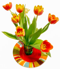 bouquet of tulips in vase isolated on white