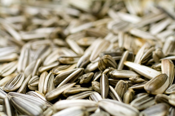 Close up shot of sunflower seeds in a bowl
