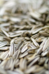Close up shot of sunflower seeds in a bowl