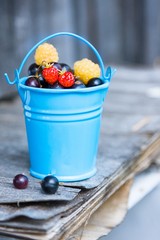 Red and yellow raspberries and blackcurrant in blue bucket in summer.