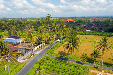 Fototapeta na wymiar Aerial from a balinese landscape the countryside in Indonesia