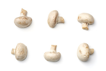 Mushroom champignon isolated on white background. Flat lay