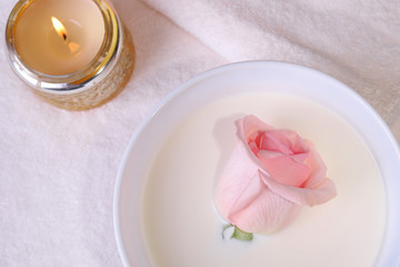 delicate pink rose in milk in the bathroom and a candle
