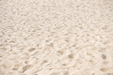 sand texture on beach