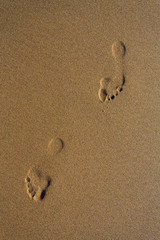 Empreintes de pas dans le sable