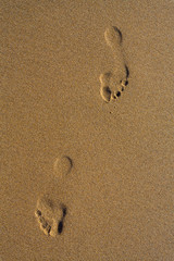 Fototapeta na wymiar Traces de pas dans le sable