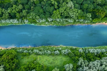 Fotobehang top view of summer green trees with a river © Alex