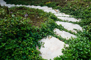 Stone walkway stairs in the garden.