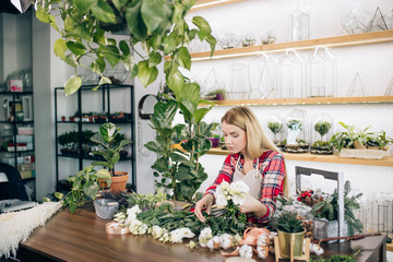 good-looking attractive woman florist entrepreneur shopkeeper holding flowers, plants, making beautiful bouquet for customer in her own shop