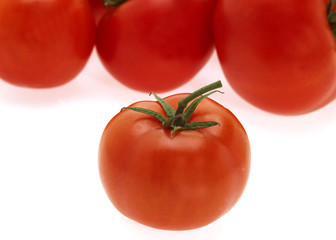 TOMATE ROUGE