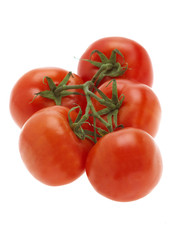 TOMATE ROUGE