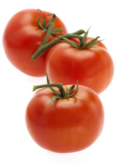 TOMATE ROUGE