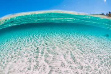 Tropical blue ocean water with sandy bottom underwater