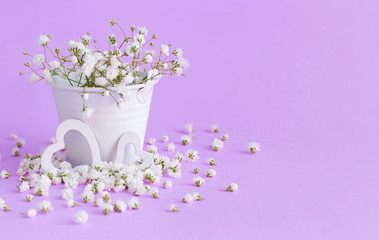 Small white flowers and hearts on a lavender background