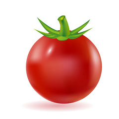 Red fresh tomato 3d vector on white background.
