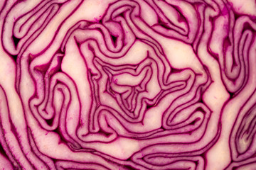 Obraz premium Close Up on Red Cabbage.