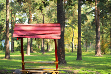 Naklejka premium trees in the forest in sunny weather