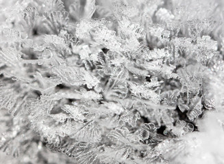 White snowflakes as abstract background