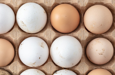 Fresh chicken eggs in industrial mud as a background
