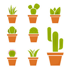 Vector flat cactus icons set on White Background