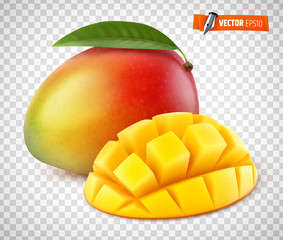 Mangue vectorielle sur fond transparent