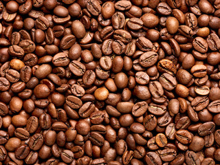coffee bean brown roasted caffeine espresso seed