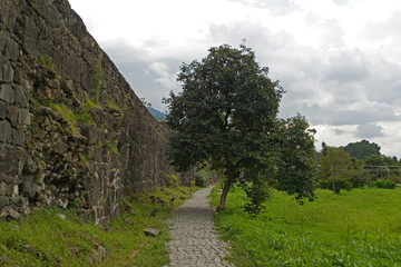 Fototapeta na wymiar Stone pedestrian road between the wall of the old Roman fortress and the green persimmon tree. Behind the tree lawn with fresh green grass. The sky is gray and gloomy. Georgia