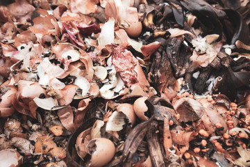 Onion husk banana peel in trash can