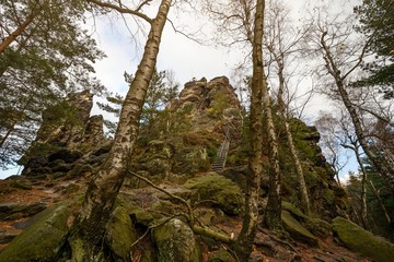 Fototapete bei efototapeten.de bestellen   