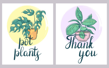 Cards with flowers in pots. Thank you and pot plants