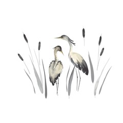 Herons in oriental style with cattails, wildlife illustration, vector isolated in vintage watercolor style.
