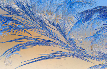 Natural pattern on glass at dawn of the sun.