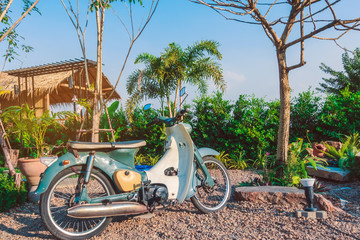 The classic retro motorcycle and popular in vintage pop culture parked to decorate in the garden. It is Legend of motorcycle.