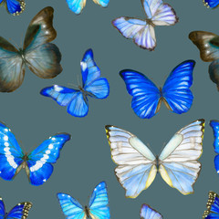 Hand drawn watercolor seamless pattern with butterflies Morpho on grey