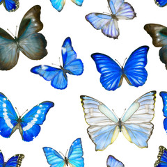 Hand drawn watercolor seamless pattern with butterflies Morpho on white